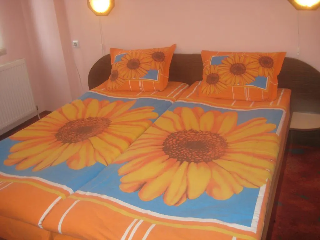 Aseva House Guest House 반스코 호텔