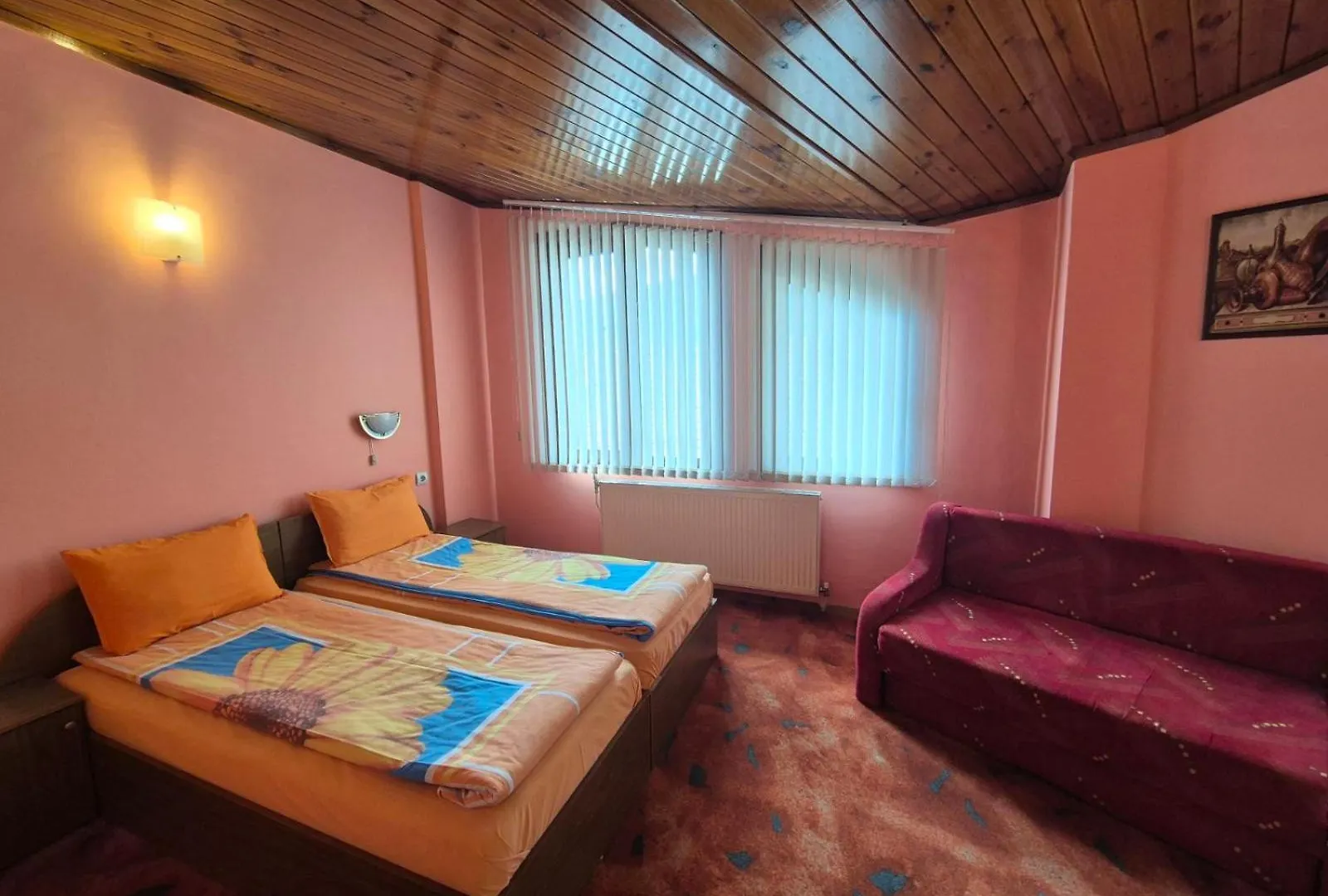 *** 호텔 Aseva House Guest House 반스코 불가리아