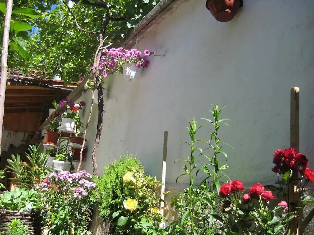 Aseva House Guest House 반스코 호텔