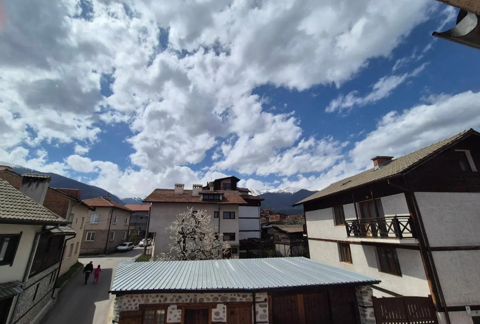 Aseva House Guest House Bansko 3*,